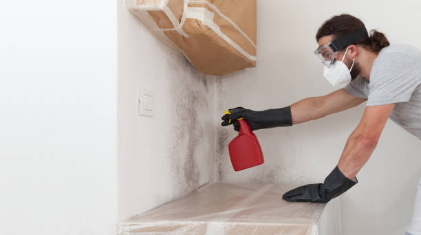 Professional Mold Cleanup technician working in Cumberland, NC