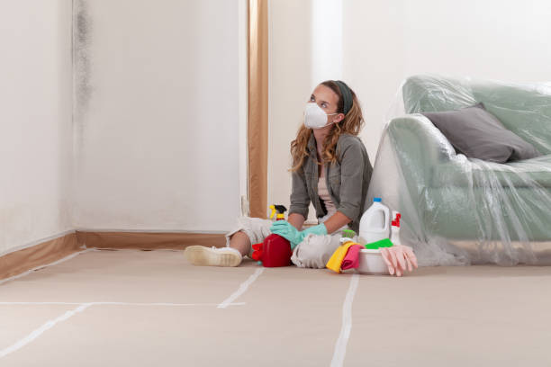 Reliable Mold Cleanup contractor in Cumberland, NC by WQB Mold Removal